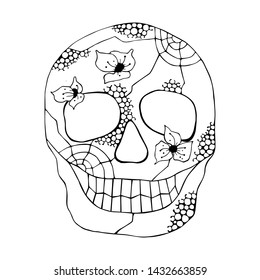 Vector hand drawn illustration of smiling skull with flowers, spider web, tooth, lines face of human Print horror for t shirt. Mexican style, day of the dead, halloween. Sketch, doodle drawing. 