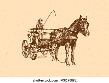 Vector hand drawn illustration of spider phaeton. Open sporty carriage drawn by one horse. 