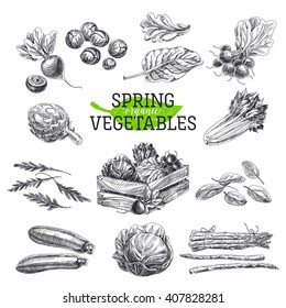 Vector hand drawn Illustration with spring vegetables. Organic and bio products food Sketch. Vintage style. Retro background. 