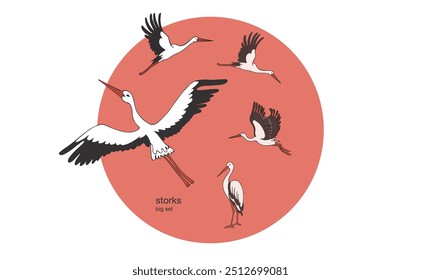 Vector hand drawn illustration of storks and blue clouds on white background, village and birds. Storks in different poses. Fly.	