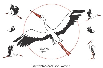 Ilustração desenhada à mão do vetor de cegonhas e nuvens azuis no fundo branco, aldeia e pássaros. Cegonhas em diferentes poses. Voe.	