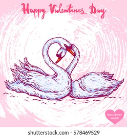 Vector hand drawn illustration of swans in the water, text Happy Valentines Day. Pair of swans, sketch. Linear art in vintage style for design.