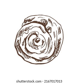 Vector hand drawn illustration of sweet bread, pastry, muffin,  cinnabon bun. Brown and white pastry  drawing isolated on white background. Sketch icon and bakery element for print, web, mobile.