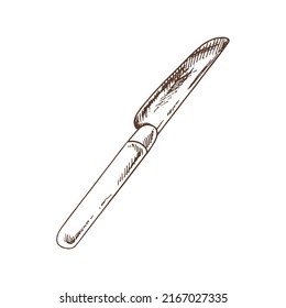 Vector hand drawn illustration of 
table-knife.  Brown and white  drawing isolated on white background. Sketch icon and  element for print, web, mobile.