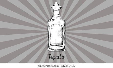 Vector hand drawn illustration of tequila bottle. Vintage style