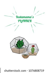 Vector hand drawn illustration of three florariums with plants for glider cover, diary, banner