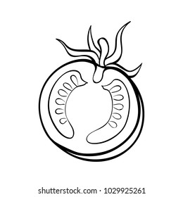 Vector hand drawn illustration of a tomato. Outline doodle icon. Food sketch for print, web, mobile and infographics. Isolated on white background element.