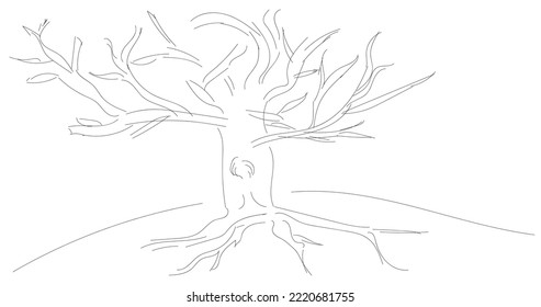 Vector hand drawn illustration. A tree without leaves, with protruding roots and on a gentle hill. Outlines, black and white, contours, hand drawing. Autumn, winter, nature, tree.
