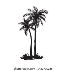 Vector hand drawn illustration of tropical palm tree