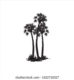 Vector hand drawn illustration of tropical palm tree