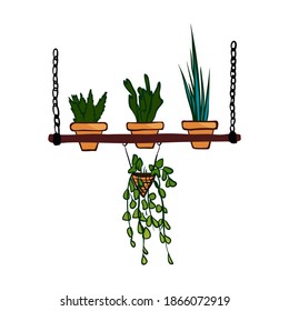 Vector hand drawn illustration of tropical houseplants growing in a set of hanging red pots. Cute small exotic leaves dangling from a wicker pot. For interior design, website, magazine, shop, banner