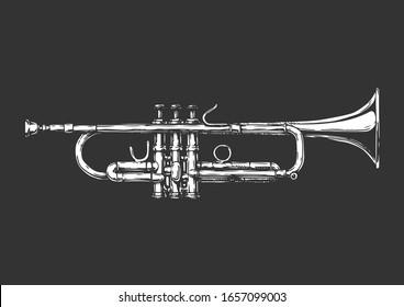 Vector hand drawn illustration of trumpet. Isolated on black.