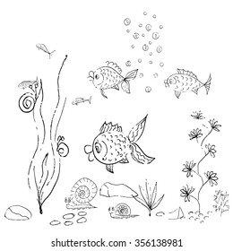 Vector hand drawn illustration of underwater life. Sketches of fishes, snails, plants.