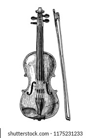 Vector hand drawn illustration of Viola in vintage engraved style. Isolated on white background. front view.