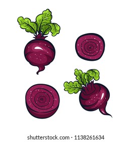 Vector hand drawn illustration of violet beet. Coloful cartoon icon. Food art for print, web, mobile and infographics. Isolated on white background element. Set