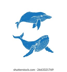 Vector dibujado a mano ilustración de ballenas azul relleno sin trazo. Estilo de grabado detallado del boceto