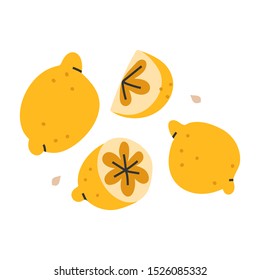 Vector hand drawn illustration of whole and cut lemons, tasry fresh citrons, crop harvest. Doodle icon in modern trendy flat cartoon style.