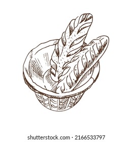 Vector hand drawn illustration of wicker basket with baguettes. Brown and white bread drawing isolated on white background. Sketch icon and bakery element for print, web, mobile and infographics.