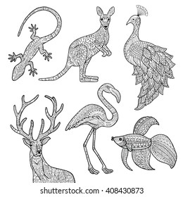 Vector hand drawn illustrations of animals. Lizard, kangaroo, peacock, deer, flamingo, betta fish. Adult coloring page.