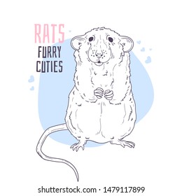 Vector hand drawn illustrations. Cute realistic rat. Each object can be changed and moved for your design.