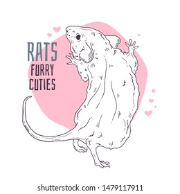 Vector hand drawn illustrations. Cute realistic rat. Each object can be changed and moved for your design.