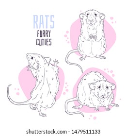Vector hand drawn illustrations. Cute realistic rat. Each object can be changed and moved for your design.