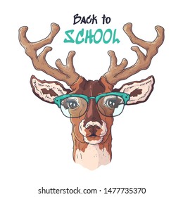 Vector hand drawn illustrations. Portrait of cute realistic deer in glasses. Each object can be changed and moved for your design.