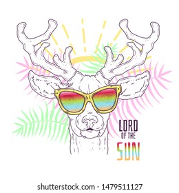 Vector hand drawn illustrations. Portrait of cute realistic deer in glasses. Each object can be changed and moved for your design.