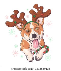 Vector hand drawn illustrations. Portrait of corgi dog animal in Christmas accessories. Each object can be changed and moved for your design.