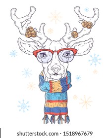 Ilustraciones dibujadas a mano por vectores. Retrato de ciervo lindo en accesorios de Navidad. Cada objeto se puede cambiar y mover para el diseño.