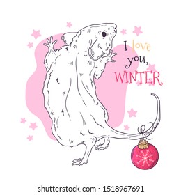 Vector hand drawn illustrations. Portrait of cute rat in Christmas accessories. Each object can be changed and moved for your design.