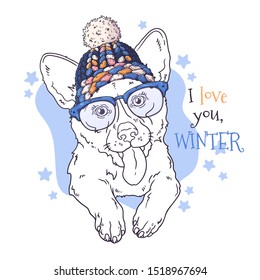 Vector hand drawn illustrations. Portrait of cute animal in Christmas accessories. Each object can be changed and moved for your design.