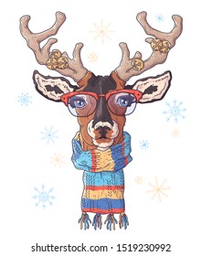 Vector hand drawn illustrations. Portrait of cute deer in Christmas accessories. Each object can be changed and moved for your design.