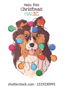 Vector hand drawn illustrations. Portrait of collie dog animal in Christmas accessories. Each object can be changed and moved for your design.