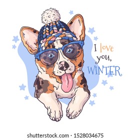 Vector hand drawn illustrations. Portrait of corgi dog animal in Christmas accessories. Each object can be changed and moved for your design.