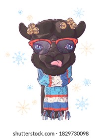 Vector hand drawn illustrations. Portrait of cute alpaca in Christmas accessories. Each object can be changed and moved for your design.