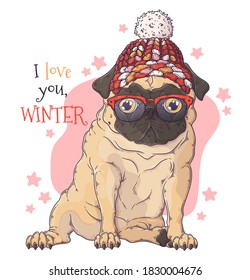 Vector hand drawn illustrations. Portrait of cute pug dog in Christmas accessories. Each object can be changed and moved for your design.