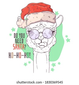 Vector hand drawn illustrations. Portrait of cute alpaca iin Santa hat. Line art. Each object can be changed and moved for your design.