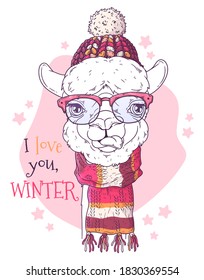 Vector hand drawn illustrations. Portrait of cute alpaca in Christmas accessories. Line art. Each object can be changed and moved for your design.
