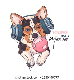 Vector hand drawn illustrations. Portrait of cute corgi dog in musical headphones inflates a bubble of gum. 
