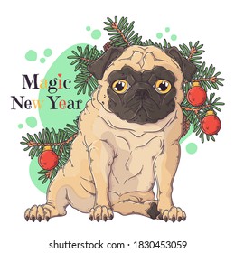 Vector hand drawn illustrations. Portrait of cute pug dog with christmas tree.