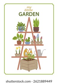 Vector dibujado a mano ilustraciones de plantas en maceta. Dibujos para póster, fondo o postal. Dibujado a mano