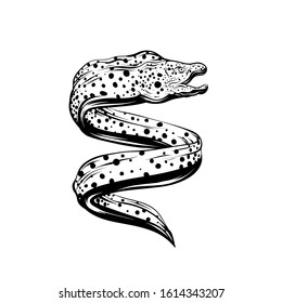 Vector hand drawn iluustration of moray eel isolated. Tattoo artwork.  Template for card, poster, banner, print for t-shirt, pin, badge, patch.