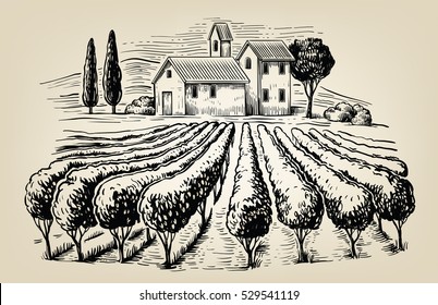 vector hand drawn image of village and landscape