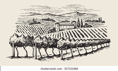 vector hand drawn image of village and landscape