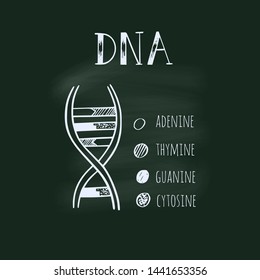Vector hand drawn infographic of DNA structure.  Medicine and science . Conceptual illustration
