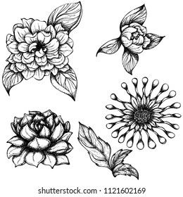 Vector hand drawn ink illustration. Set with various kinds of exotic flowers. Monochrome illustration isolated on white background
