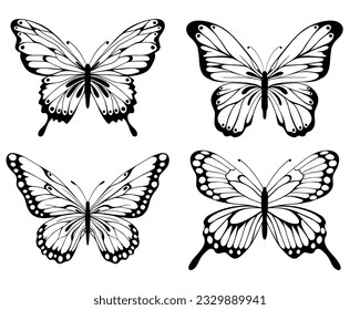 Vector hand drawn ink illustration. Set tropical butterflies. Objects of nature. Entomology. Sketch