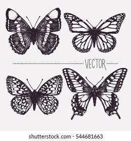 Ilustración de tinta dibujada a mano por vectores. Mariposas tropicales. Imagen prediseñada aislada. Imagen de diseño gráfico para decoración. Estilo de grabado, antiguo, antiguo. Objetos naturales. Entomología. Esbozo