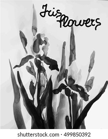 Vector hand drawn ink irises. Black and white.